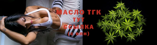 гидра Алексеевка